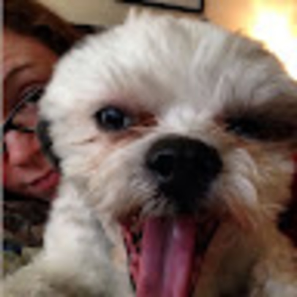 Meet your Posher, Meaghan